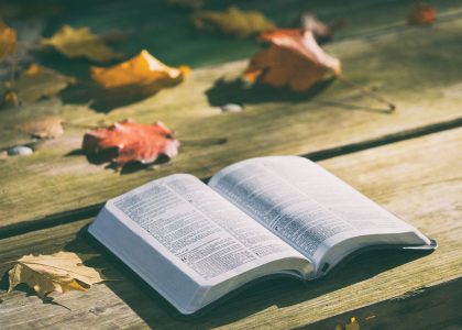 Bibel und Herbstblätter
